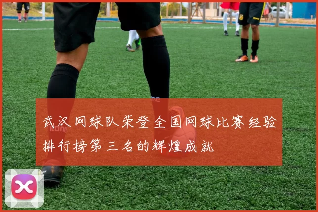 武汉网球队荣登全国网球比赛经验排行榜第三名的辉煌成就