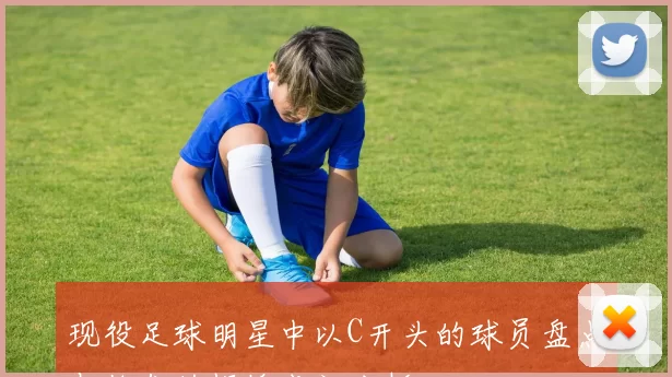 现役足球明星中以C开头的球员盘点与他们的辉煌成就分析