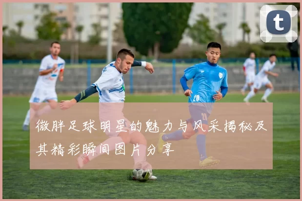 微胖足球明星的魅力与风采揭秘及其精彩瞬间图片分享