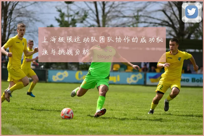 上海极限运动队团队协作的成功秘诀与挑战分析
