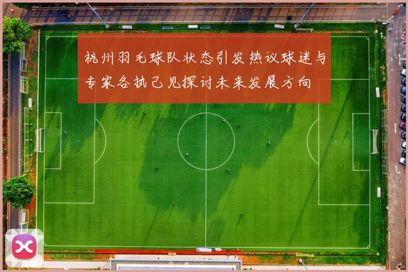 杭州羽毛球队状态引发热议球迷与专家各执己见探讨未来发展方向