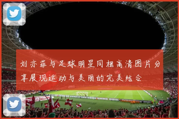 刘亦菲与足球明星同框高清图片分享展现运动与美丽的完美结合