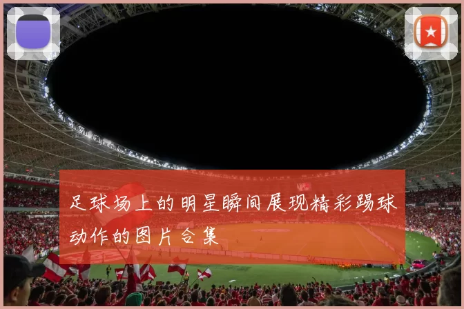 足球场上的明星瞬间展现精彩踢球动作的图片合集