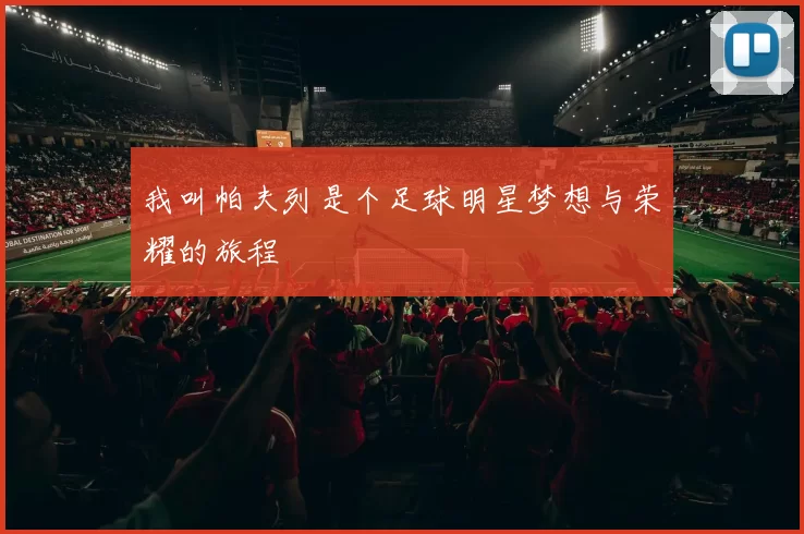 我叫帕夫列是个足球明星梦想与荣耀的旅程