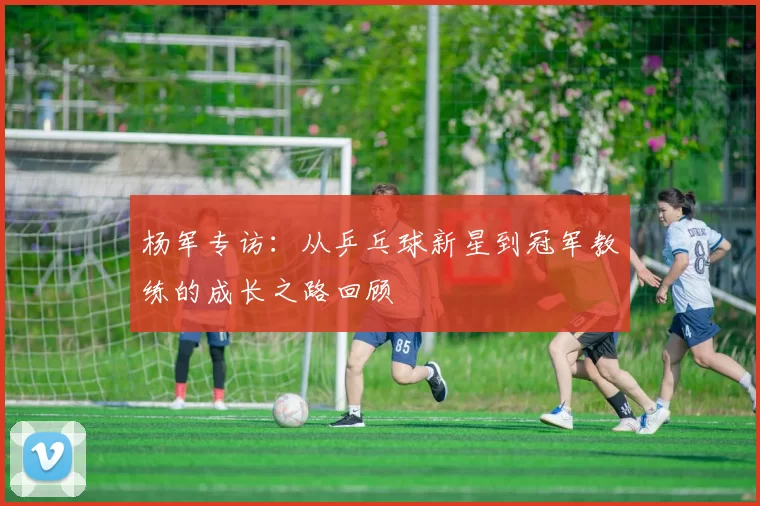 杨军专访：从乒乓球新星到冠军教练的成长之路回顾
